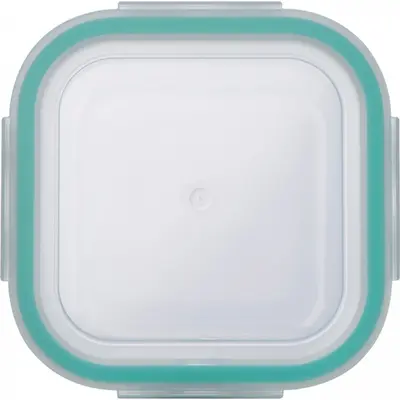 Lunch box 750 ml THERESA